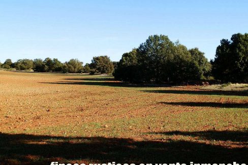 509_fincas-en-venta-27