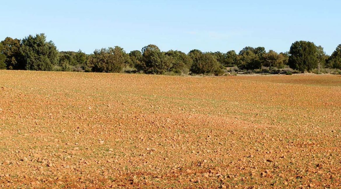 509_fincas-en-venta-28