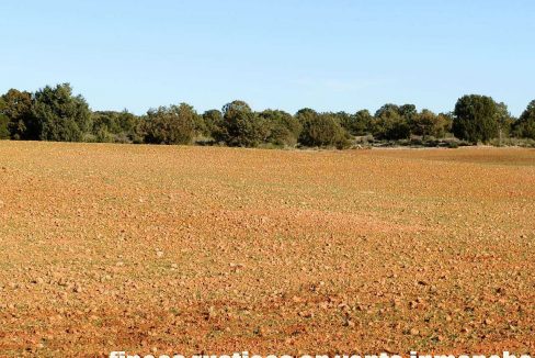 509_fincas-en-venta-28