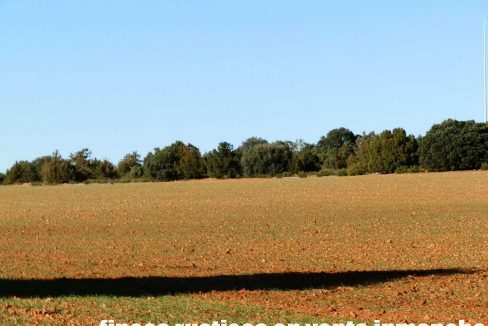 509_fincas-en-venta-29