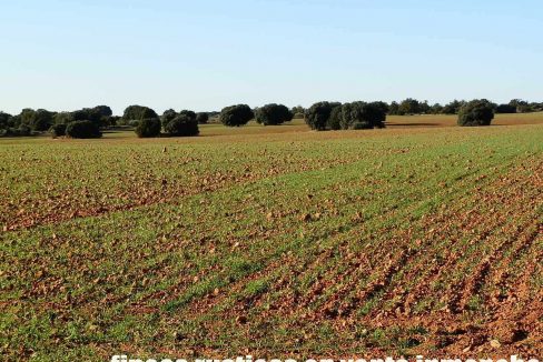 509_fincas-en-venta-31