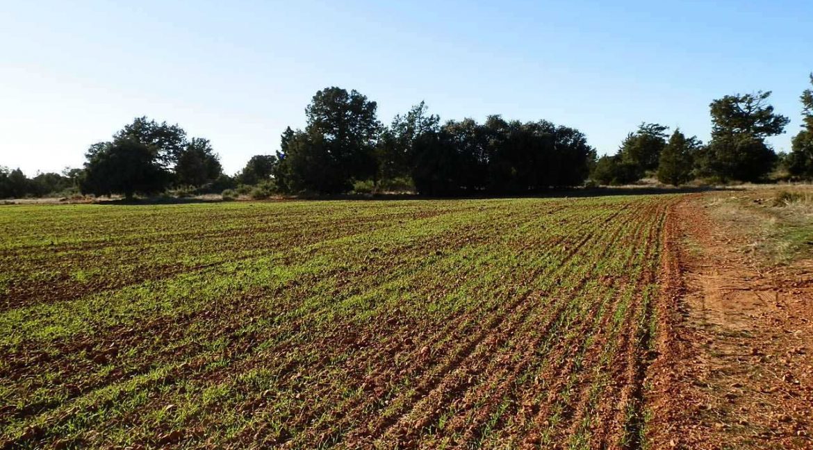 509_fincas-en-venta-35