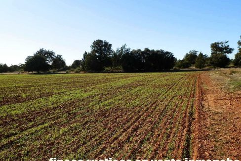 509_fincas-en-venta-35