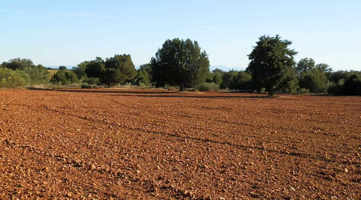 509_fincas-en-venta-37