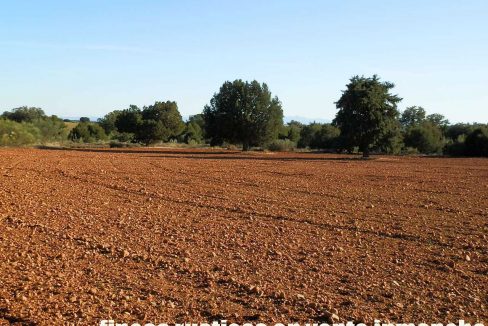 509_fincas-en-venta-37