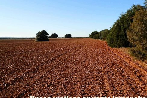 509_fincas-en-venta-39