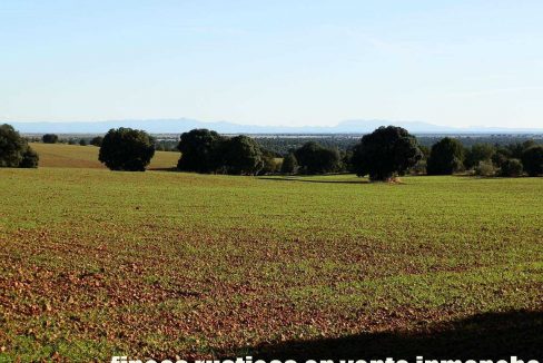 509_fincas-en-venta-40