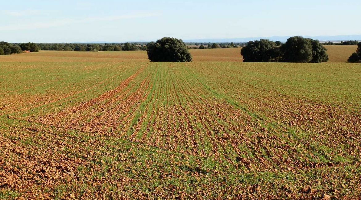 509_fincas-en-venta-41