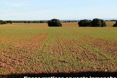 509_fincas-en-venta-41