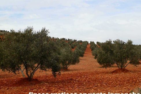 515_fincas-en-venta-007
