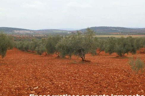 515_fincas-en-venta-010