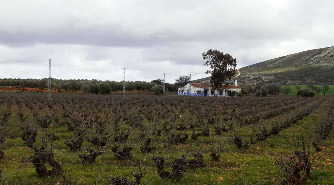 518_fincas-en-venta-037