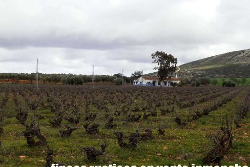 518_fincas-en-venta-037