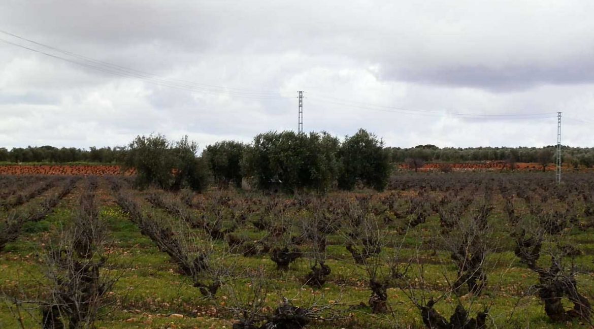 518_fincas-en-venta-038