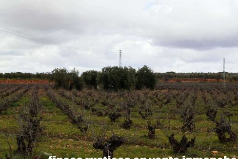 518_fincas-en-venta-038
