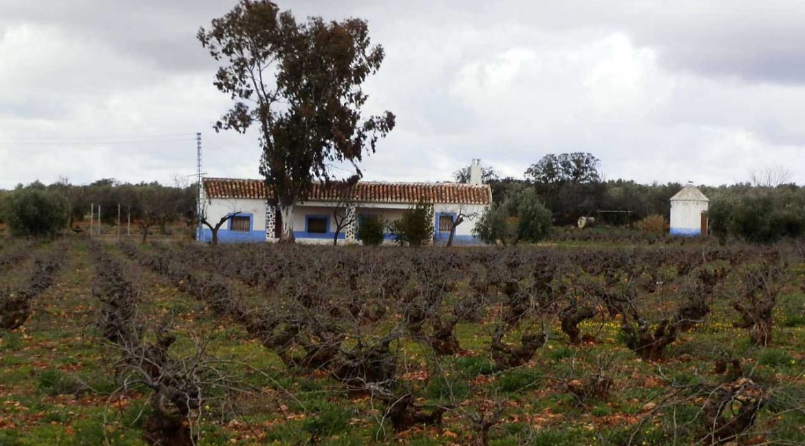 518_fincas-en-venta-039