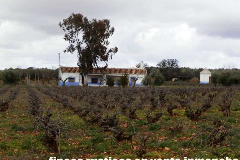518_fincas-en-venta-039