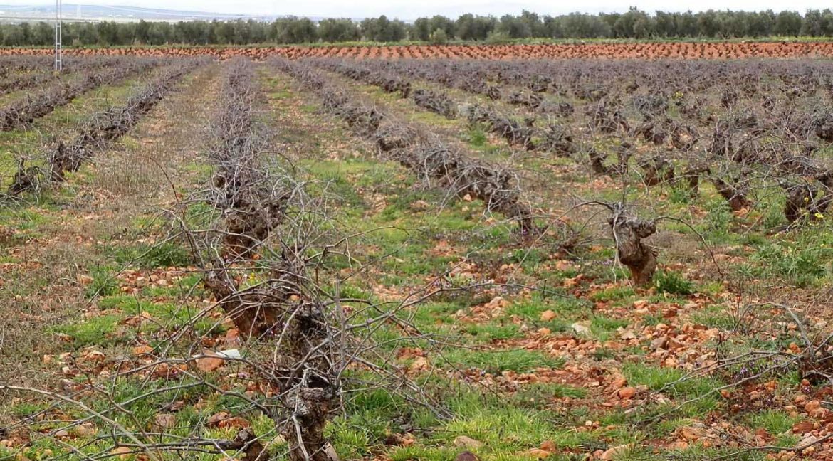 518_fincas-en-venta-040
