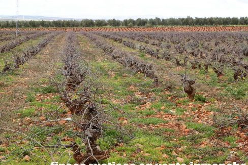 518_fincas-en-venta-040