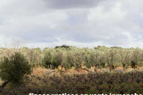 518_fincas-en-venta-042