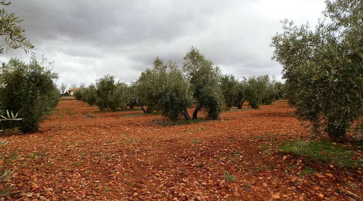 518_fincas-en-venta-054