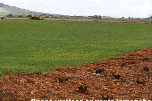 519_fincas-en-venta-071