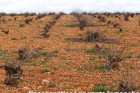 519_fincas-en-venta-073