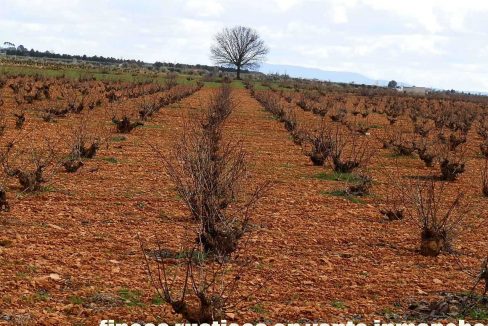 519_fincas-en-venta-078