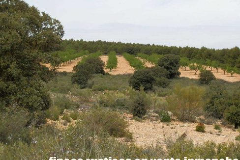 523_fincas-en-venta-001