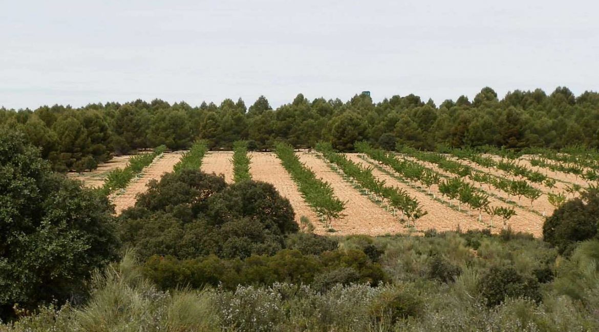 523_fincas-en-venta-005