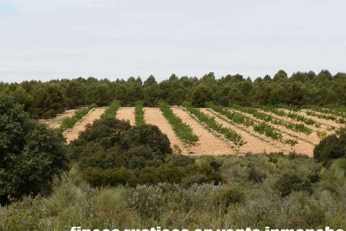 523_fincas-en-venta-005