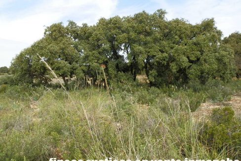 523_fincas-en-venta-007
