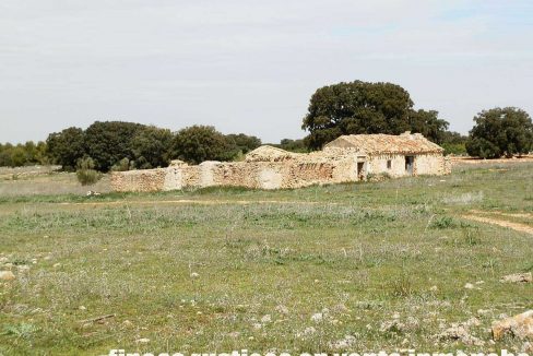 523_fincas-en-venta-017