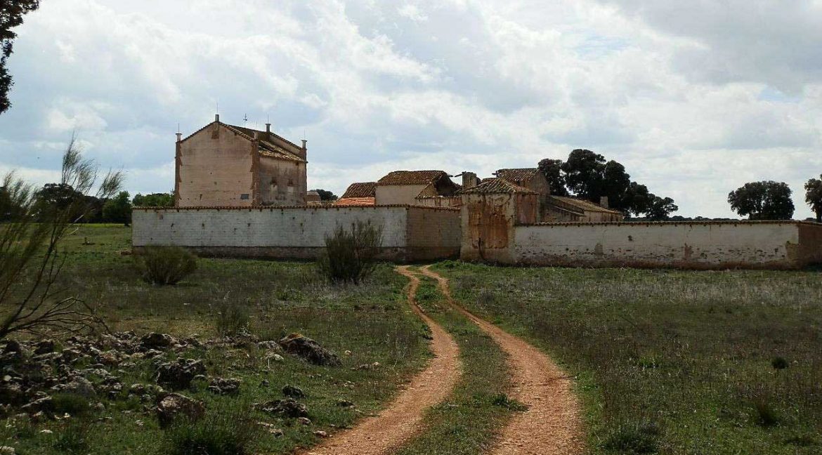 523_fincas-en-venta-022