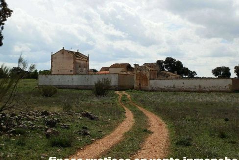 523_fincas-en-venta-022