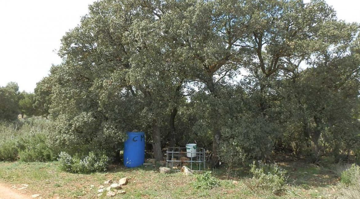523_fincas-en-venta-026