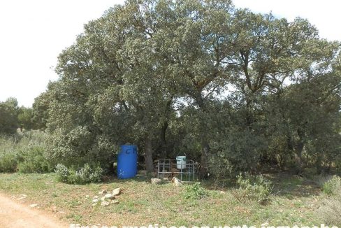 523_fincas-en-venta-026
