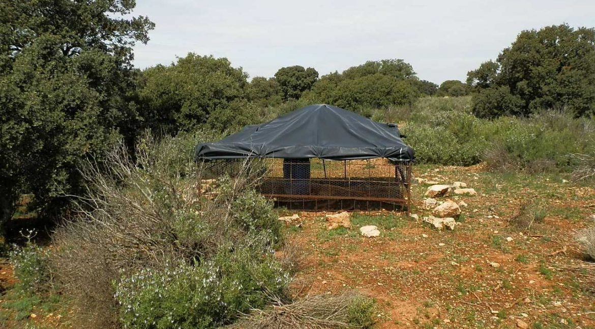 523_fincas-en-venta-027