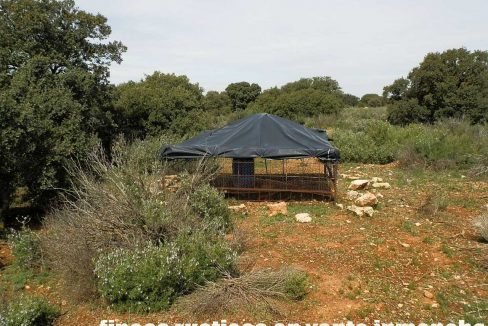 523_fincas-en-venta-027