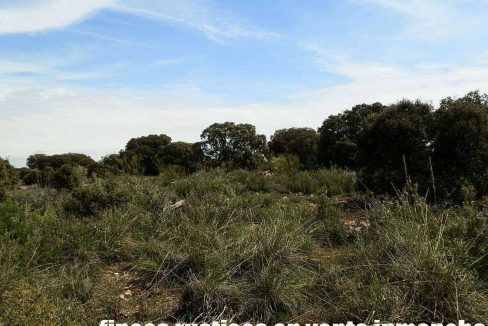 523_fincas-en-venta-032