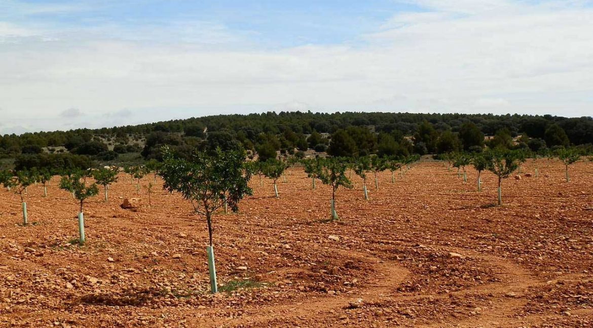 523_fincas-en-venta-033