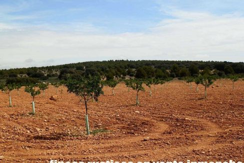 523_fincas-en-venta-033