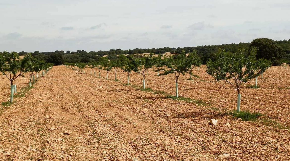 523_fincas-en-venta-037