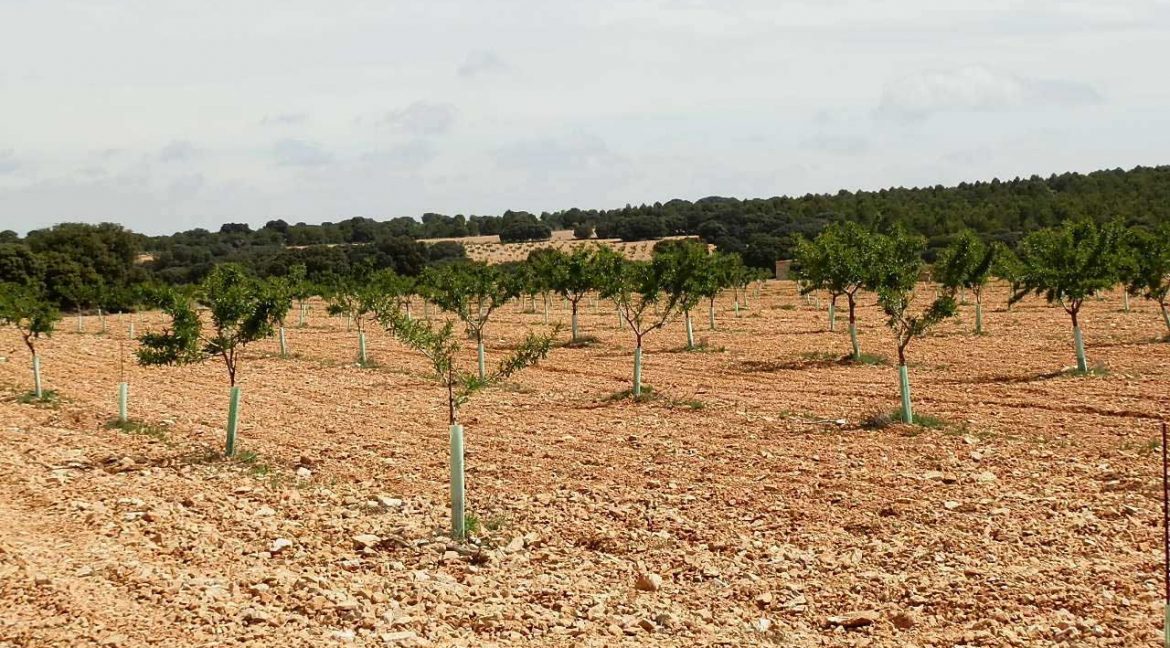 523_fincas-en-venta-039
