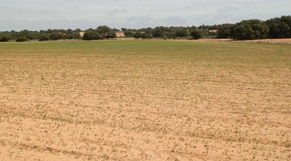 523_fincas-en-venta-041