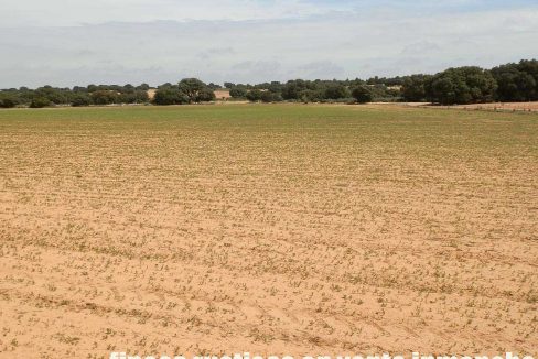 523_fincas-en-venta-041