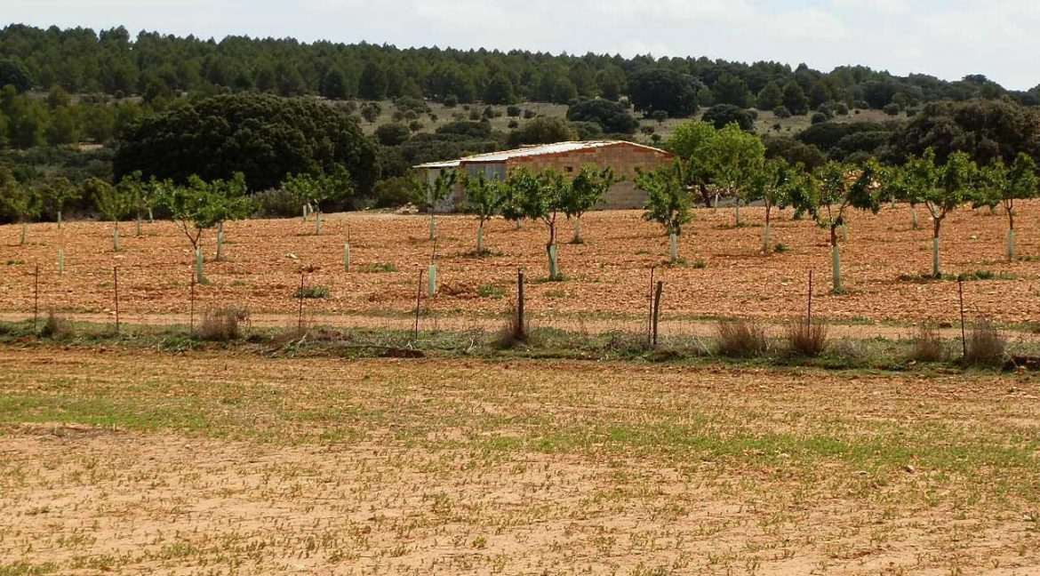 523_fincas-en-venta-042