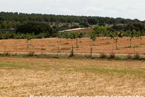 523_fincas-en-venta-042