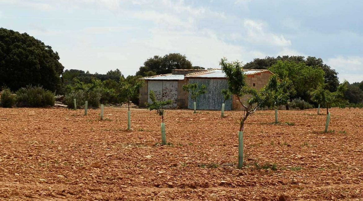 523_fincas-en-venta-043