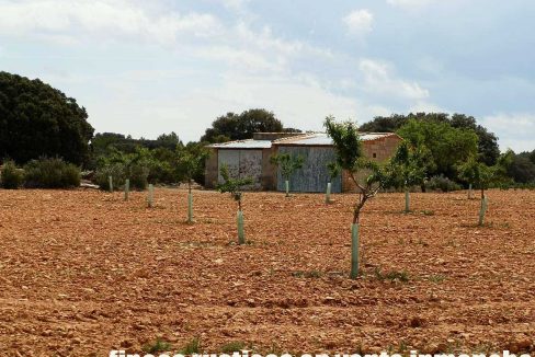 523_fincas-en-venta-043